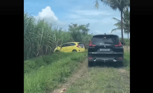 Video Pengendara Mobil Nyasar ke Sawah Gegara Google Maps (tiktok.com/@mamiazka9)