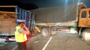 Colt Diesel Angkut Sapi Tabrak Fuso, Pengemudi asal Malang Tewas di Tol Waru-Sidoarjo