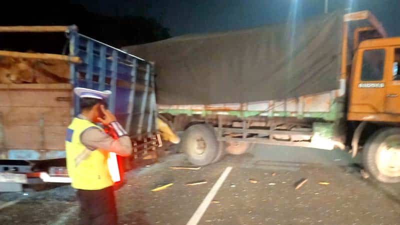 Colt Diesel Angkut Sapi Tabrak Fuso, Pengemudi asal Malang Tewas di Tol Waru-Sidoarjo