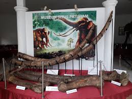 situs purbakala patiayam di kudus jawa tengah. (Ist)