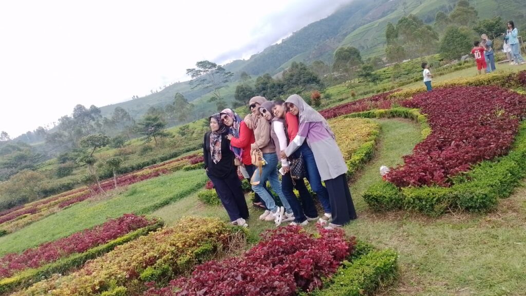 Sejuknya Piknik ke Argo Wisata Kaligua Brebes, Hamparan Kebun Teh yang Menenangkan