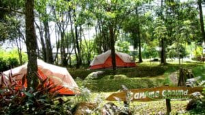 Melrimba Garden Puncak Makin Jadi Primadona Wisatawan