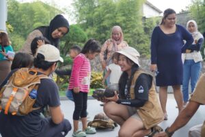 Kura-Kura Terancam Punah, Royal Safari Garden Angkat Isu Perlindungan Satwa Lewat Perayaan World Turtle Day