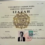 Dekan Kehutanan UGM Tegaskan Keaslian Ijazah Presiden Jokowi