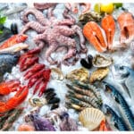 protein ikan