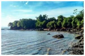 Menikmati Senja dan Keteduhan Alam di Pantai Rongkang, Madura