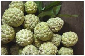 Srikaya: Buah Tropis dengan Segudang Manfaat Kesehatan