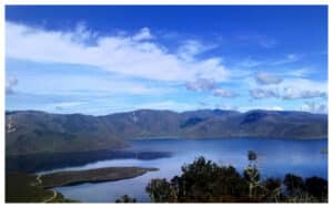 Menjelajahi Alam Liar di Cagar Alam Pegunungan Arfak Papua Barat