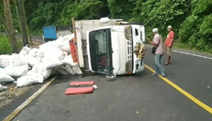 Apes! Truk Kotoran Ayam Terguling di Gumitir, Ratusan Sak Jadi ‘Pupuk’ Jalanan