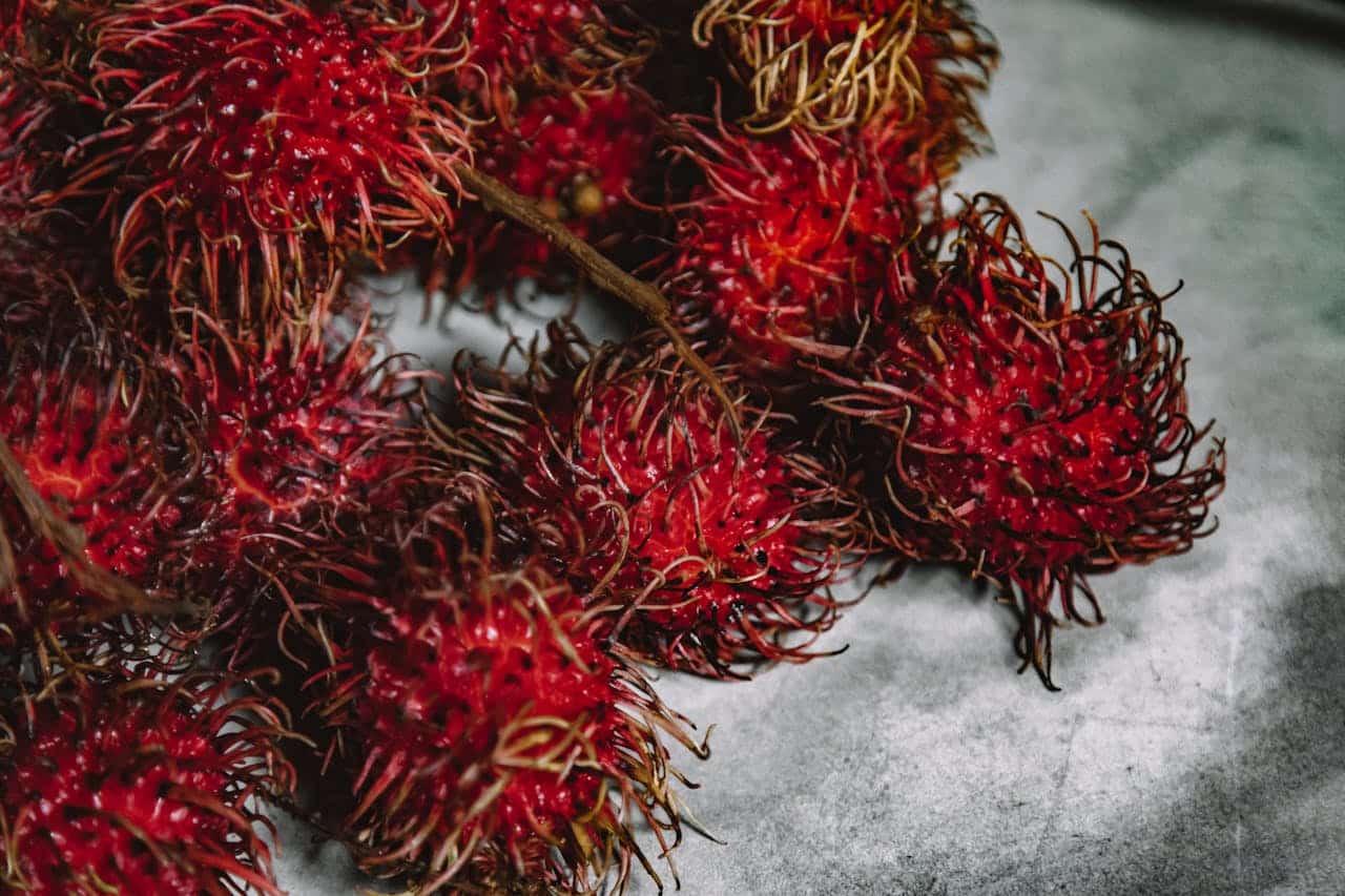 WOW TERNYATA Ini Manfaat Rambutan, Bisa Cegah Penyakit Ini 