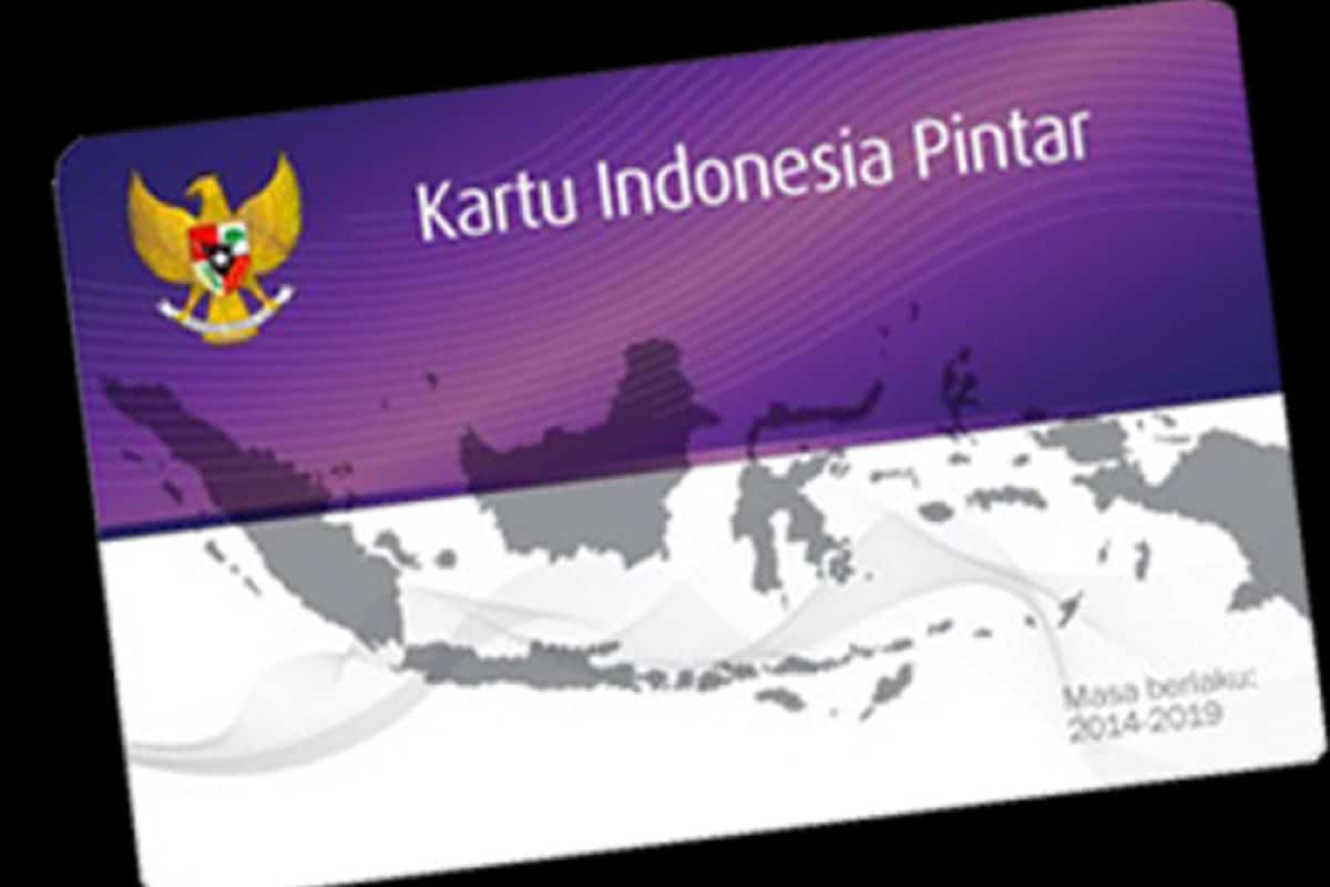 cara cek PIP secara online