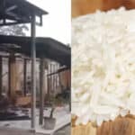 kades di lampung tengah