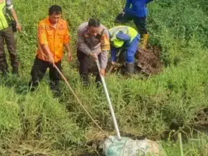 Heboh Bangkai Kambing Dikira Jasad Manusia di Tangsel