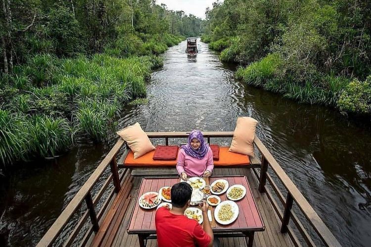 Ketika Alam Bertutur: Harmoni Hutan dan Orangutan di Tanjung Puting