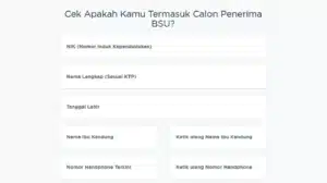 BSU 2025 Bisa Cair Tanpa ke Bank, Ini Cara Pencairan dan Update Data Rekening Lewat BRImo dan Situs Resmi