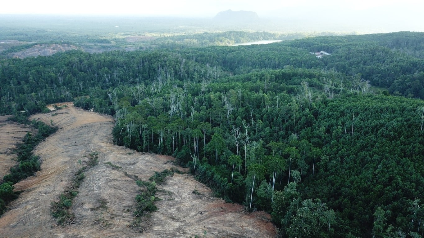 Deforestasi di Kalimantan Selatan
