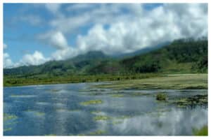 Danau Emas, Simfoni Alam di Tengah Pegunungan Bengkulu