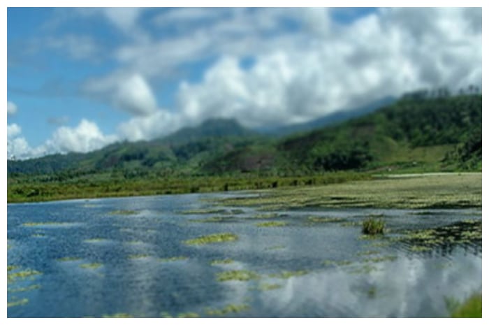 Danau Emas, Simfoni Alam di Tengah Pegunungan Bengkulu