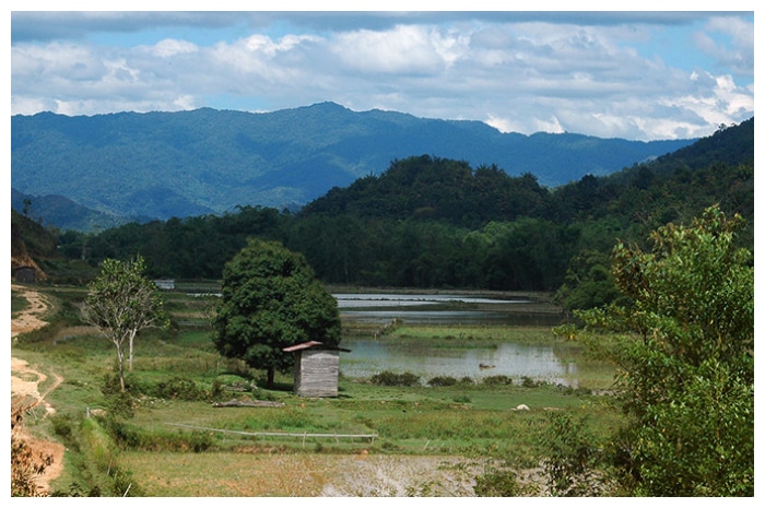 Taman Nasional Kayan Mentarang, Harta Karun Biodiversitas Kalimantan