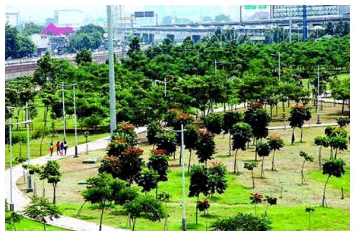 Tempat Nongkrong Ramah Keluarga: Menyusuri Taman Hutan Kota Penjaringan
