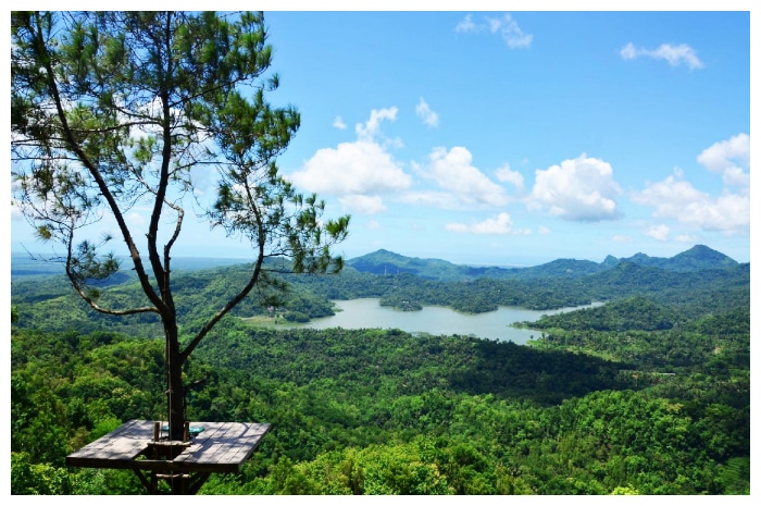Menjelajah Puncak Becici: Trekking, Sunset, dan Panorama Yogyakarta