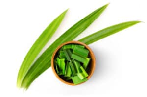 Rahasia Daun Pandan: Herbal Alami Penurun Gula dan Tekanan Darah