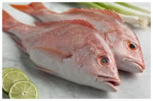 Ikan Kakap: Lezat dan Bergizi Baik untuk Kesehatan