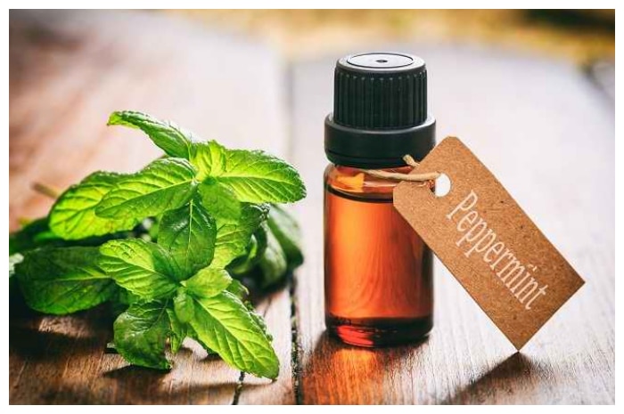 Minyak Peppermint: Manfaat, Kandungan dan Cara Penggunaan