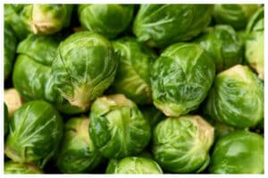 Kubis Brussel, Sayuran Mini dengan Nutrisi Super