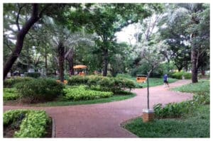 Taman Jogging Kelapa Gading: Ruang Hijau Asri di Jakarta Utara