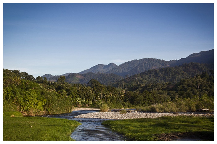 Menyusuri Taman Nasional Gunung Leuser, Warisan Dunia di Tengah Hutan Tropis Sumatera
