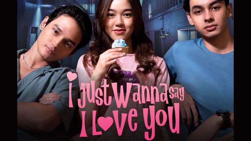 Just Wanna Say I Love You