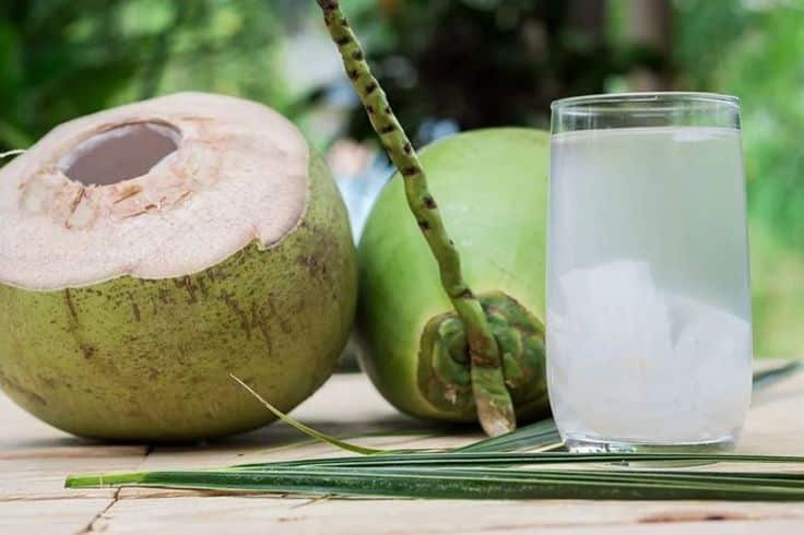 15 Minuman Pembersih Usus Alami, Rahasia Perut Sehat