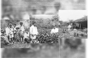 Kamu Harus Tahu! Benarkah Suku Sunda, Berasal dari Taiwan?