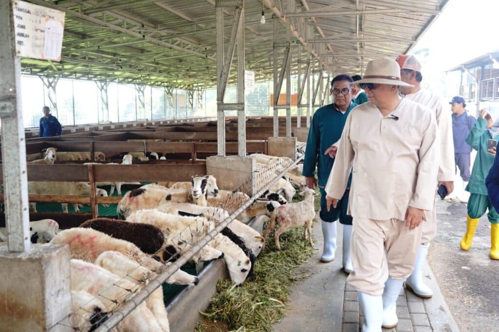 Jelang Iduladha, Bupati Garut Pastikan Kesehatan Hewan Kurban di Malangbong