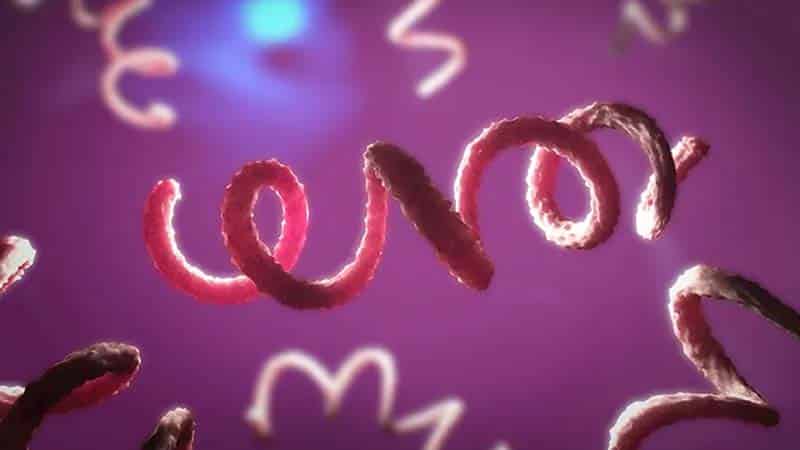 Gawat! Serangan Penyakit Kelamin Menular Hantui Gen Z Indonesia Berusia 15 hingga 19 Tahun