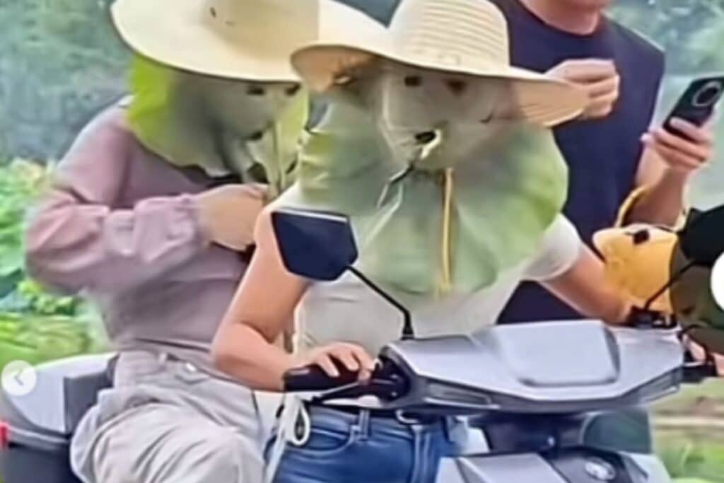 Viral Daun Teratai untuk Melindungi Wajah dari Sengatan Matahari, Lebih Murah dari Sunscreen