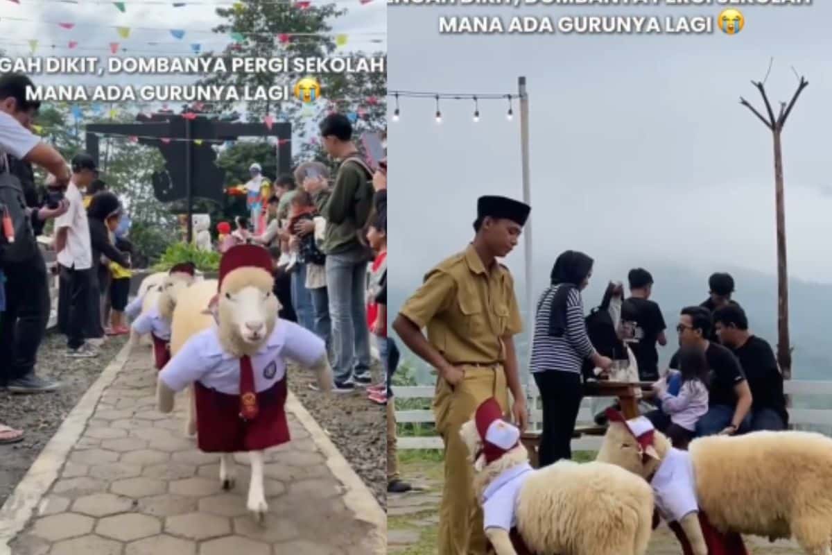 domba pakai seragam