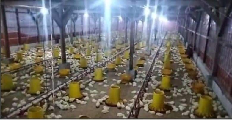 image 2025 06 02T174120.224