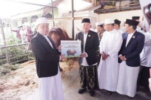 Presiden Prabowo Sumbang 17 Sapi Kurban untuk Kalsel, Terberat Capai 1,1 Ton