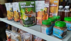 Kabogorfest 2025 Jadi Ajang Promosi Nasional, Ciamis Tampilkan 10 Produk Unggulan Desa Wisata