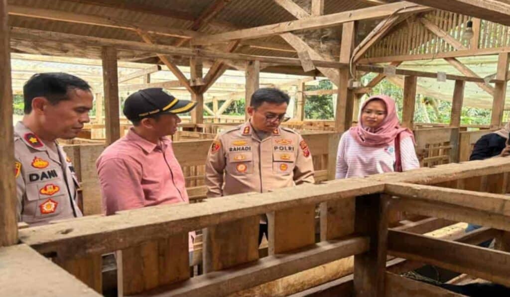 Kambing Etawa Banjar Disiapkan Jadi Contoh Nasional, Sinergi Pangan Lokal Semakin Kuat
