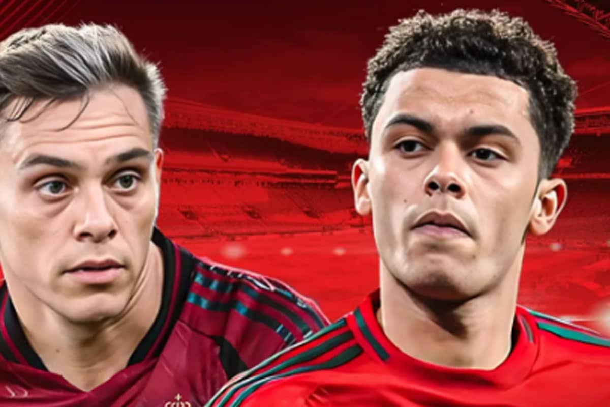 prediksi belgia vs wales