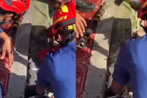 Tangkap Ular Sanca yang Meresahkan Warga, Damkar Bongkar Pipa