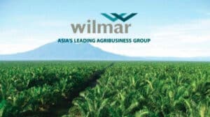 Mengenal Wilmar Group: Raksasa Sawit Global dengan Jejak Kuat di Indonesia