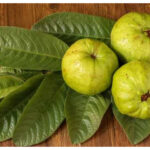 Rutin Minum Jus Jambu Biji Disebut Bisa Cegah Anemia pada Wanita, Ini Penjelasannya