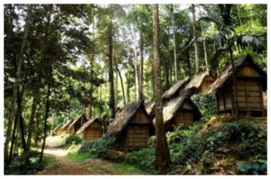 Mengenal Desa Baduy: Harmoni Alam dan Budaya Tanpa Teknologi