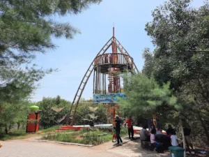 Eco Wisata Mangrove Gunung Anyar Surabaya: Lokasi, Tiket, dan Daya Tariknya