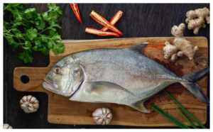 Rahasia Sehat dari Laut: Manfaat Ikan Kuwe dan Cara Tepat Mengolahnya