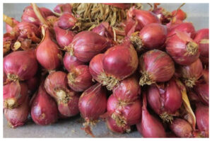 Tak Hanya Gurih, Ini 5 Manfaat Sehat Bawang Merah
